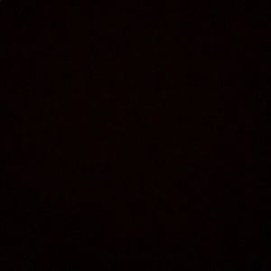 Meet your Posher, Charlee